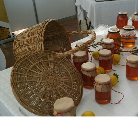 Miele di Ibiza - Isole Baleari - Prodotti agroalimentari, denominazione d'origine e gastronomia delle Isole Baleari